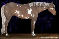 Horse Color:White Spotted Silver Black Sabino 