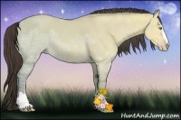 Horse Color:Amber Cream Champagne Ice Dun Sabino