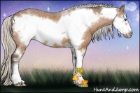Horse Color:Silver Buckskin Sabino Frame 