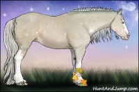 Horse Color:Watercolor White Spotted Silver Sable Cream Champagne Sabino