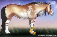 Horse Color:White Spotted Bay Onyx Sabino 
