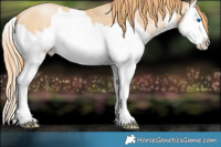 Horse Color:White Spotted Smoky Black Pearl Splash 