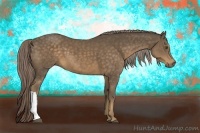 Horse Color:Chocolate Palomino