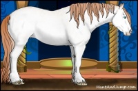 Horse Color:White Spotted Buckskin Pearl 