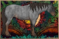 Horse Color:Liver Red Roan Rabicano 