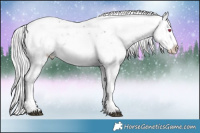 Horse Color:Chocolate Silver Brown Chinchilla Ice Onyx Sabino 