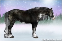 Horse Color:Brown Ice Onyx Sabino