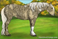 Horse Color:Palomino Ice 