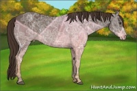 Horse Color:Liver Chestnut Ice 