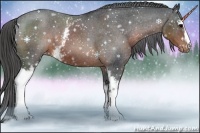 Horse Color:White Spotted Brown Appaloosa 