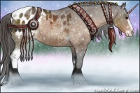 Horse Color:Buckskin Sabino Appaloosa Rabicano