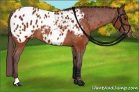 Horse Color:Chocolate Brown Appaloosa 