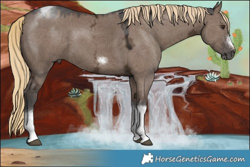 Horse Color:Liver Red Dun Ice Tobiano Frame Rabicano 