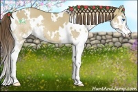 Horse Color:White Spotted Liver Red Dun Sabino Splash