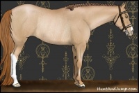 Horse Color:Chestnut Pearl Rabicano