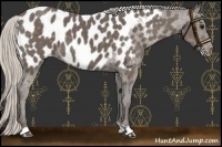 Horse Color:Silver Black Near Leopard 