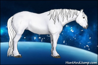 Horse Color:Gray Brown 