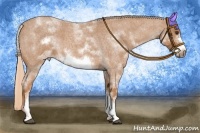 Horse Color:White Spotted Red Roan Frame 