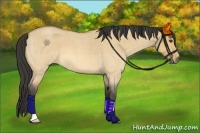 Horse Color:Buckskin Roan Dun 