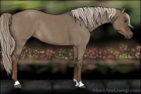 Horse Color:Liver Red Dun Roan Rabicano