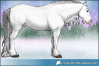 Horse Color:Grullo Onyx Sabino Rabicano