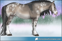 Horse Color:Grullo Onyx Sabino Rabicano 