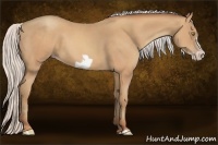 Horse Color:Silver Amber Champagne Frame 