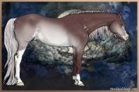Horse Color:Chocolate Silver Buckskin Chinchilla Sabino
