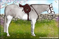 Horse Color:Liver Chestnut Splash 