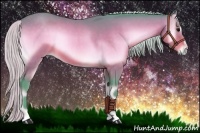 Horse Color:Watercolor Silver Bay Onyx Sabino