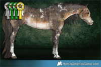 Horse Color:Plaid  White Spotted Buckskin Sabino Rabicano  and Plaid  White Spotted Brown Sabino Rabicano 