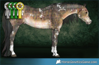 Horse Color:Plaid  White Spotted Buckskin Sabino Rabicano  and Plaid  White Spotted Brown Sabino Rabicano 