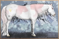 Horse Color:Gold Champagne Chinchilla Onyx Sabino Rabicano  and Chocolate Palomino Chinchilla Onyx Sabino Appaloosa Rabicano 