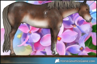 Horse Color:Liver Chestnut Mushroom Sabino Rabicano and Liver Chestnut Mushroom Sabino Rabicano