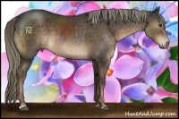 Horse Color:Liver Chestnut Sabino Rabicano  and Liver Chestnut Sabino Rabicano 