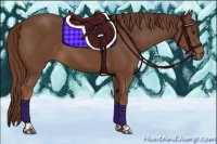 Horse Color:Chestnut  and Chestnut 