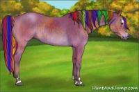 Horse Color:Painted Bay Sabino Rabicano and Painted Bay Sabino Rabicano