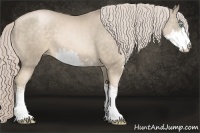 Horse Color:Chocolate Palomino Pearl Sabino Rabicano