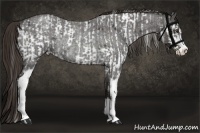 Horse Color:Liver Chestnut Sabino Rabicano  and Liver Red Roan Sabino Rabicano 