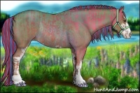 Horse Color:Painted Chocolate Palomino Roan Dun Sabino Rabicano  and Painted Amber Champagne Sabino Rabicano 