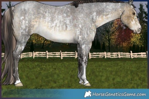 Horse Color:White Spotted Liver Chestnut Sabino Rabicano  and Buckskin Roan Sabino Rabicano 