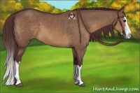 Horse Color:Chocolate Brown Dun Sabino Splash