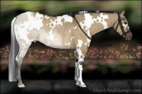 Horse Color:White Spotted Brown Dun Rabicano Brindle