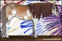 Horse Color:Chocolate Bay Splash