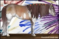 Horse Color:Chocolate Bay Splash