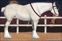 Horse Color:Perlino Sabino Rabicano  and Cremello Roan Sabino Rabicano 