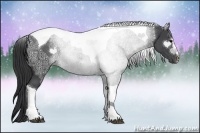 Horse Color:Black Ice Sabino Tobiano Rabicano 