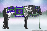 Horse Color:Black Near Leopard Rabicano