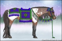 Horse Color:Brown Appaloosa