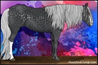 Horse Color:Silver Black Chinchilla 